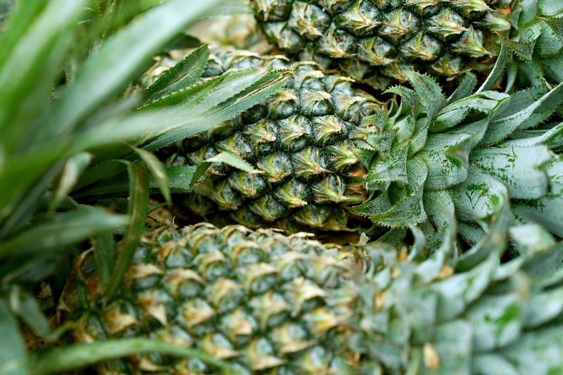 Exotic Ingredients